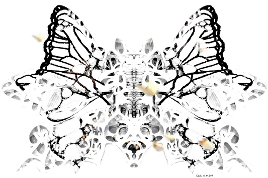 Singular No 3 - Exoskeleton Press Release