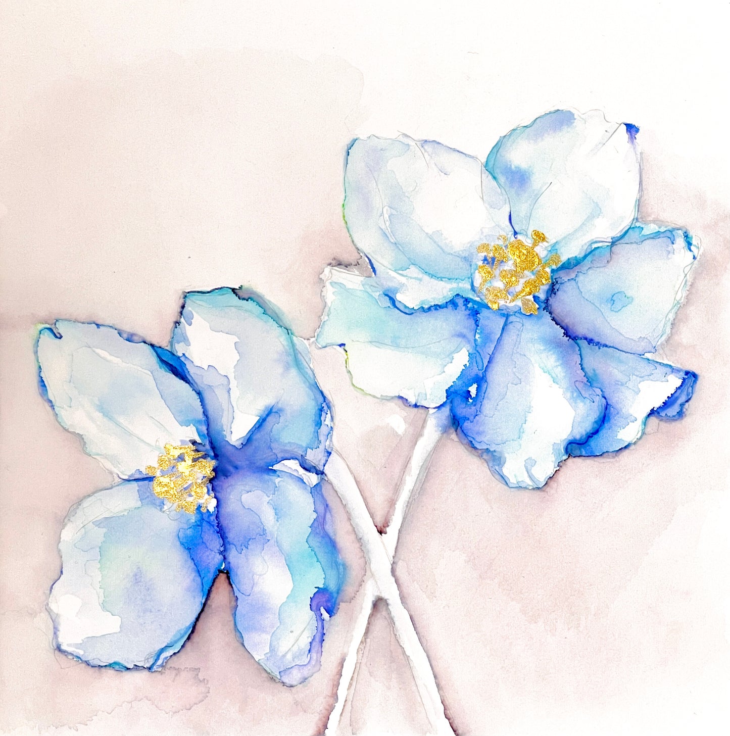 Blue Poppy 2