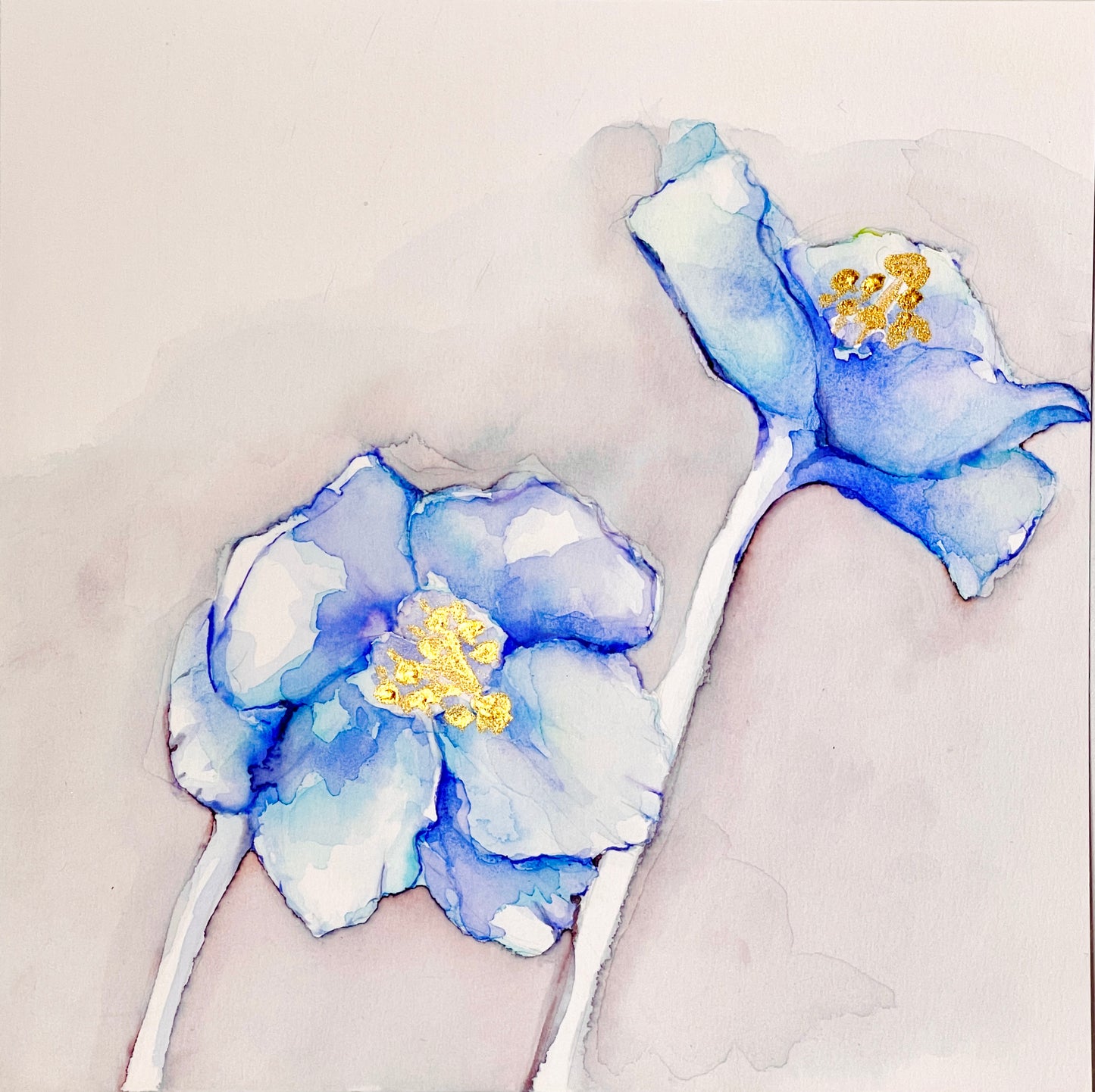 Blue Poppy (Complete Series)