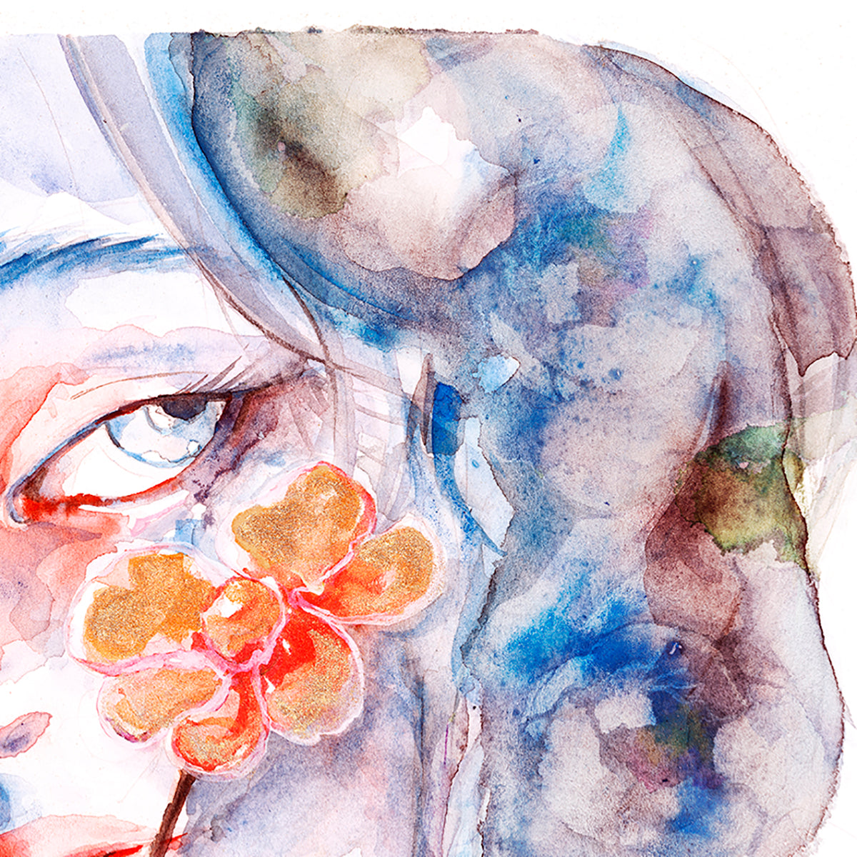 Florescence