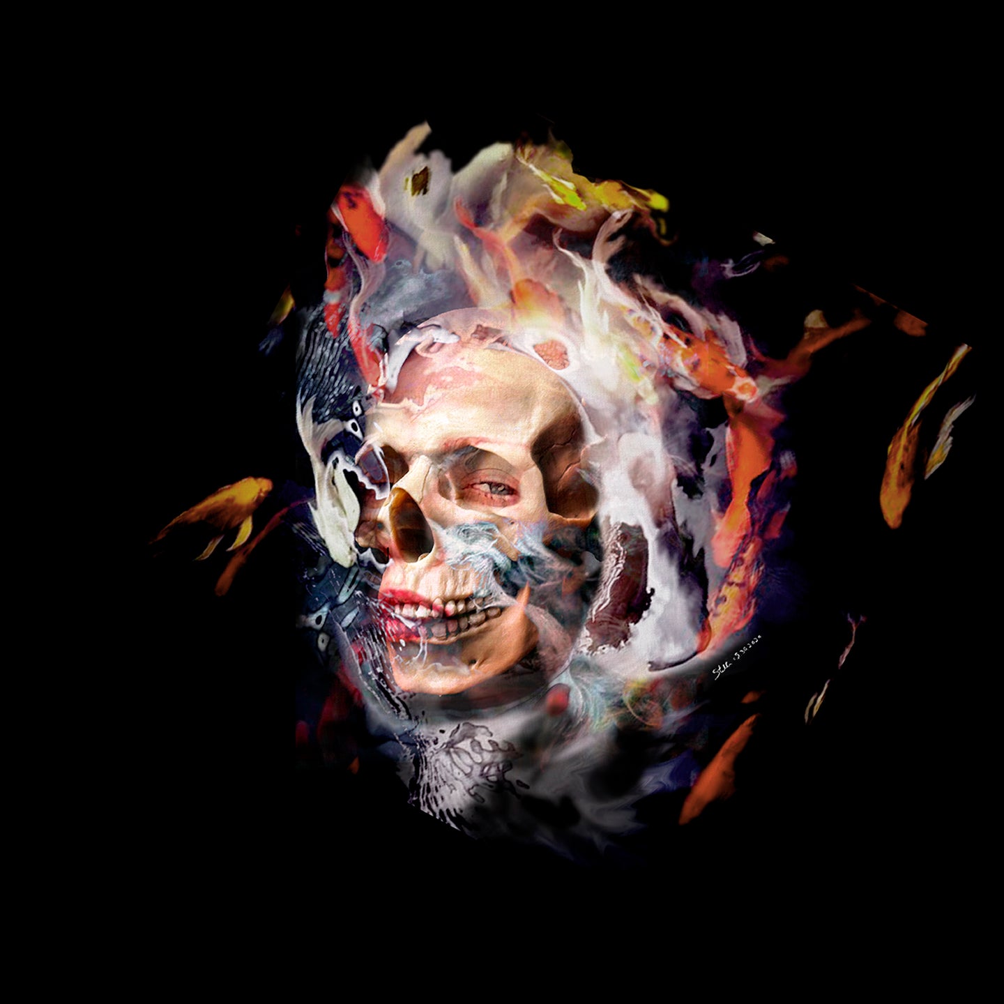 Synesthetes - Look At Me | Skull Art | Home Decor Art