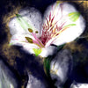 Kintsugi - Japanese Lily Flower Diptych