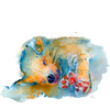 Dreamer Baby Animals Art Prints Set | Catnap Furrever | Dream Chaser | 16" x 16" Wall Art