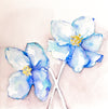 Blue Poppy 2