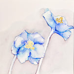 Blue Poppy 3