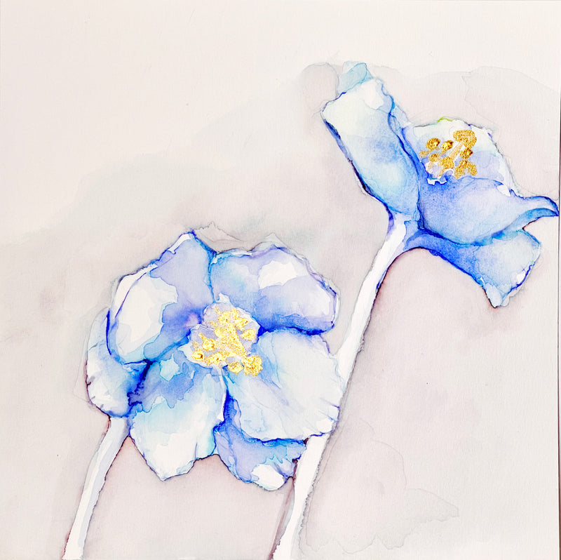 Blue Poppy 3