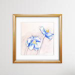 Blue Poppy 3