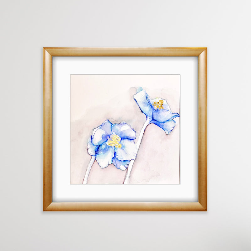Blue Poppy 3