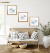 Blue Poppy (Complete Series)