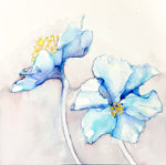 Blue Poppy (Complete Series)