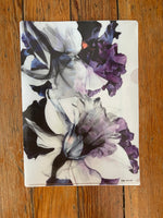 Black Iris Fancy