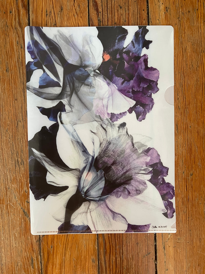 Black Iris Fancy