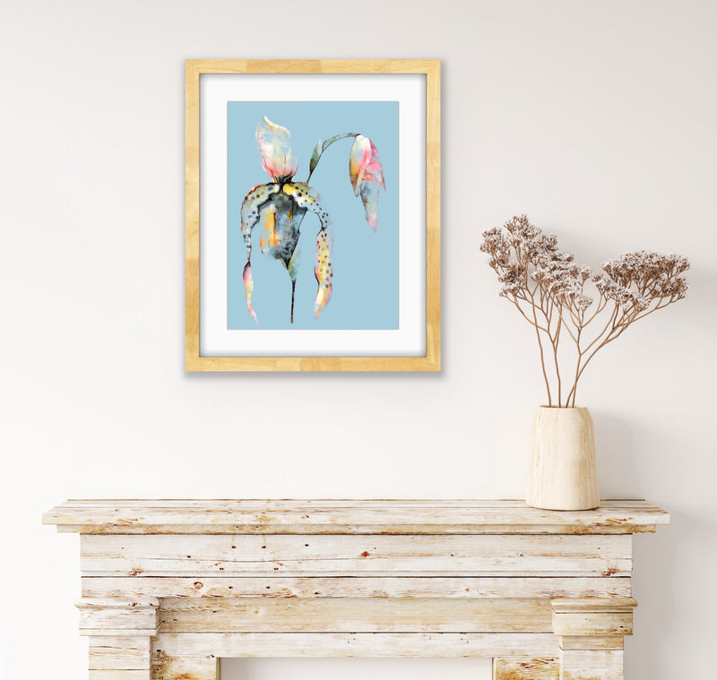 Orchid, Deconstructed
