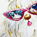 Shi Tzu With Shades